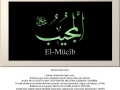 el-mucib