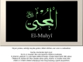 el-muhyi