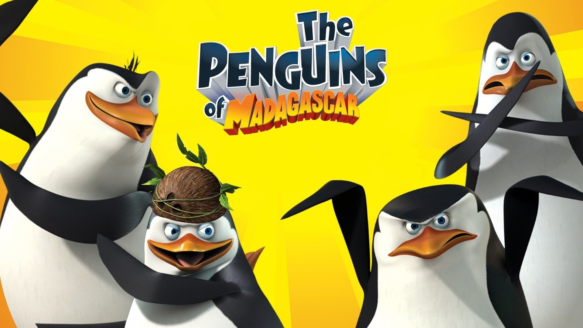 madagaskar penguenleri